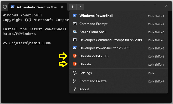 Windows Terminal showing how to select a Ubuntu shell